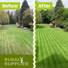 Load image into Gallery viewer, 1KG Boxed Grass Seed for Fast Growing and Hard Wearing Lawns