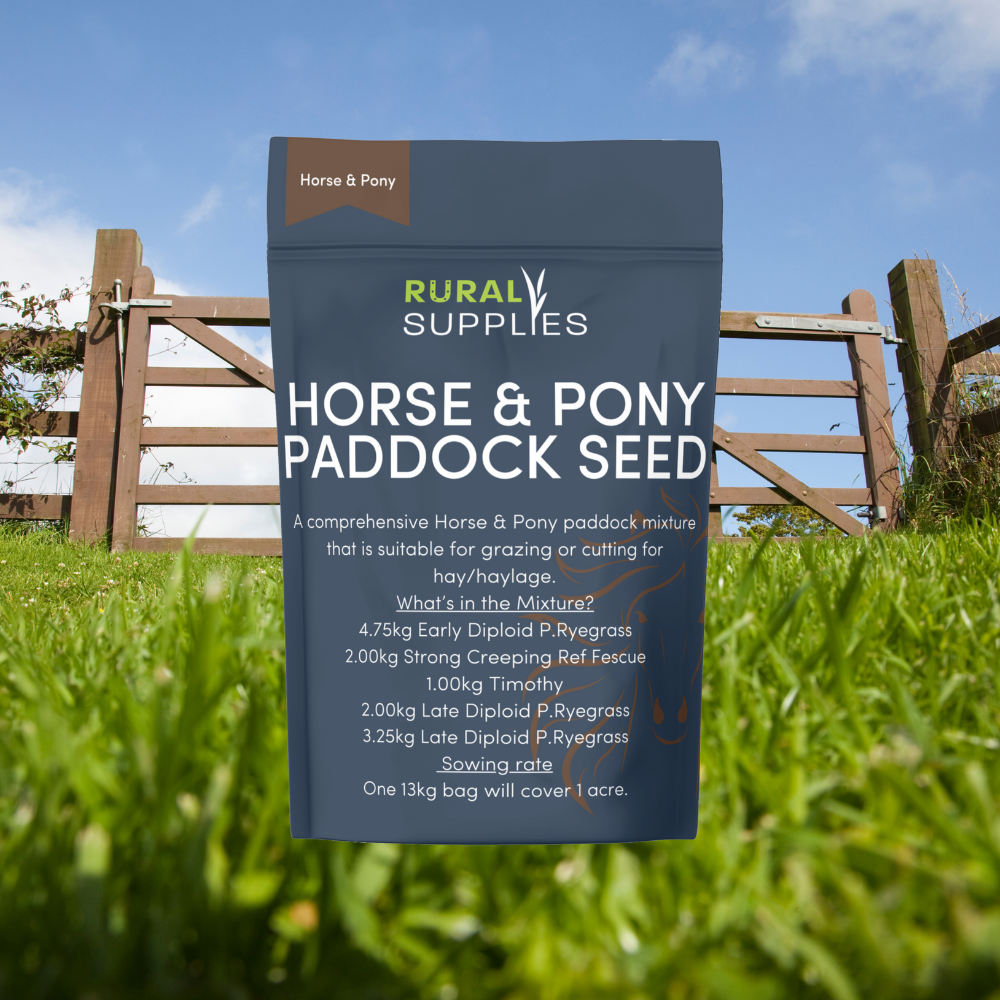 best grass seed to plant for horses Horse & Pony Paddock Grass Seed – Rural Supplies