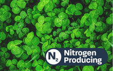 Load image into Gallery viewer, Micro Clover Seed Nitrogen Producing