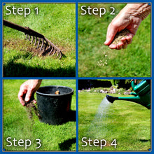 Load image into Gallery viewer, Traditional Meadow Paddock Renovator Seed