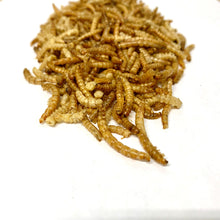 Load image into Gallery viewer, Dried Mealworms