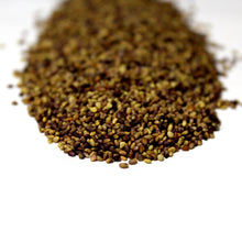 Load image into Gallery viewer, Red Clover Seed