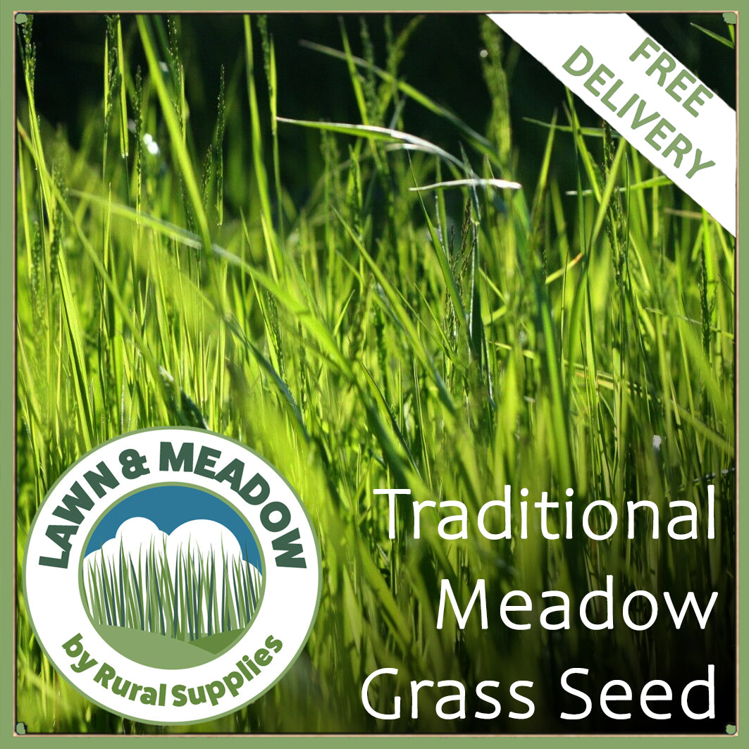 Traditional Meadow Grass Seed Rural Supplies