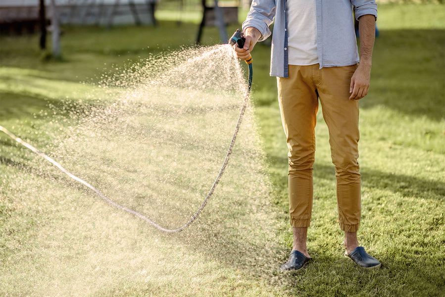 How long and often do you need to water new grass seed?