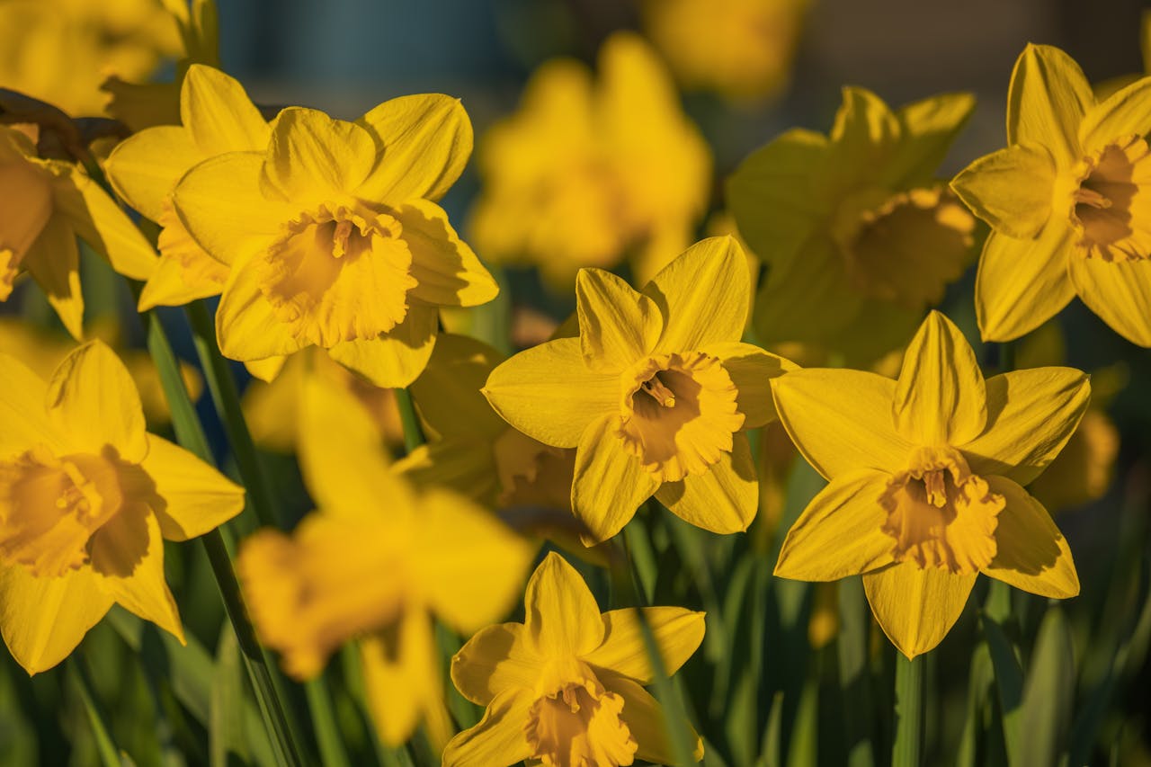 Is It Too Early to Sow Grass Seed?