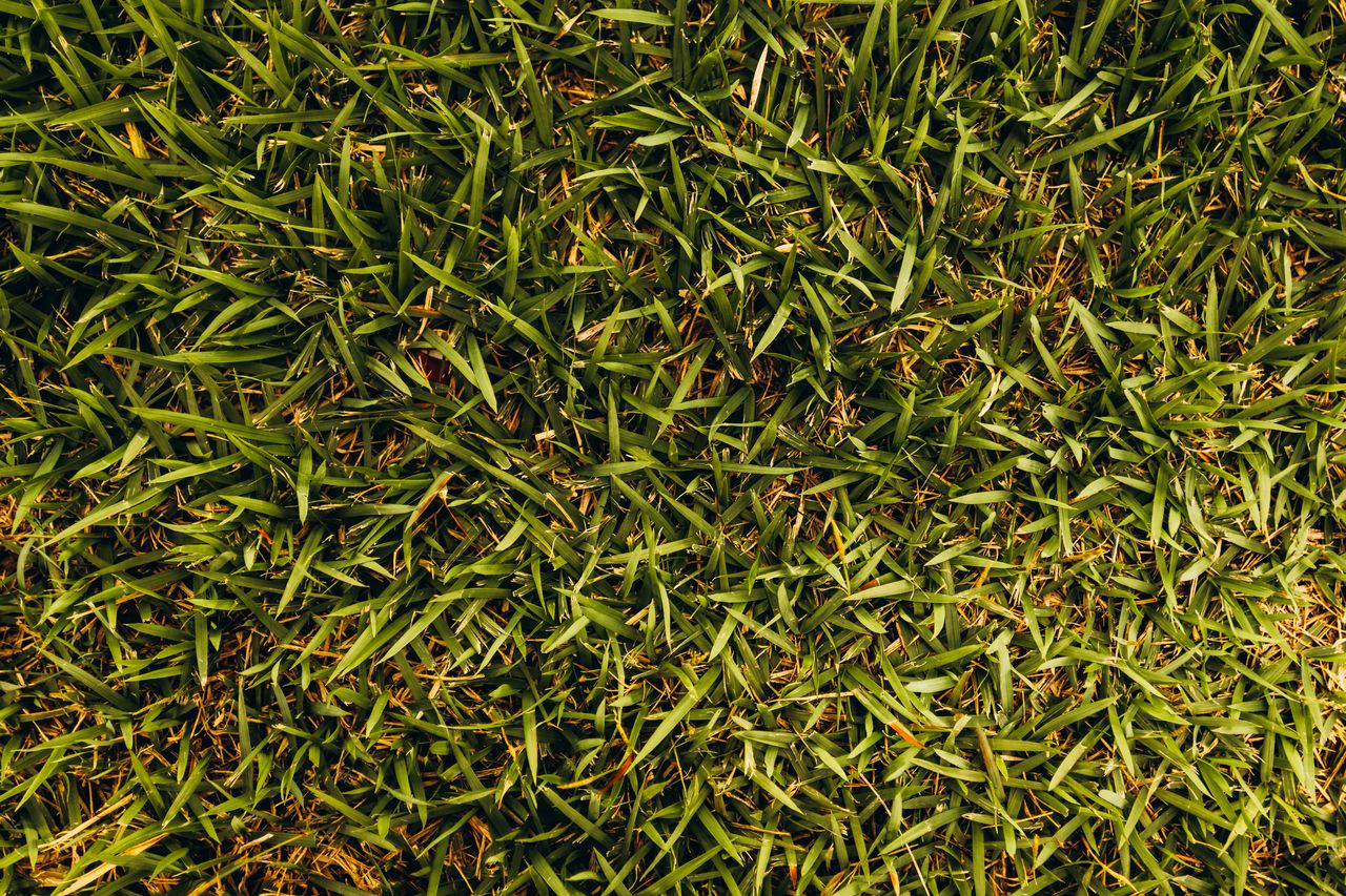 How to Repair a Burnt Lawn