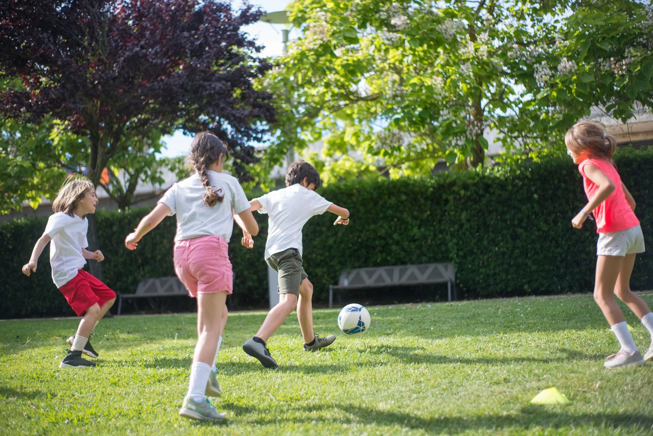 Best Lawn Seed for Children Playing Football