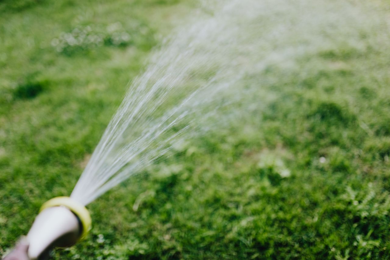 How to Keep Your Lawn Green Without Overwatering