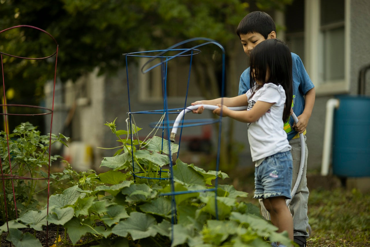 Young children gardening, vegetable patch