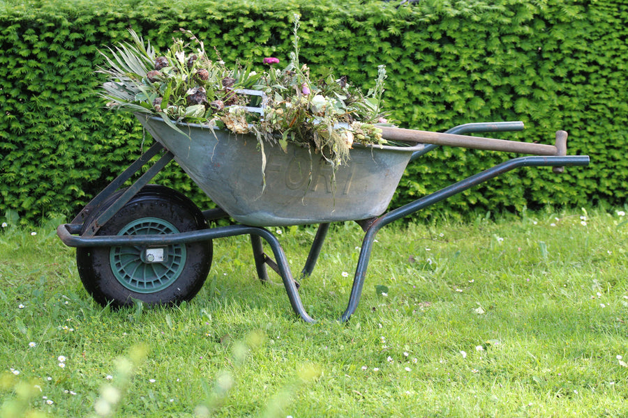 What Are Green Manures and Why Are They Important for Soil Health?