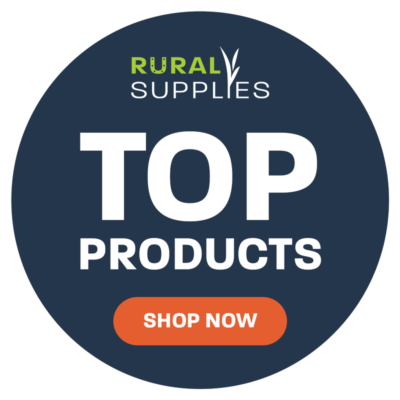 Top Products