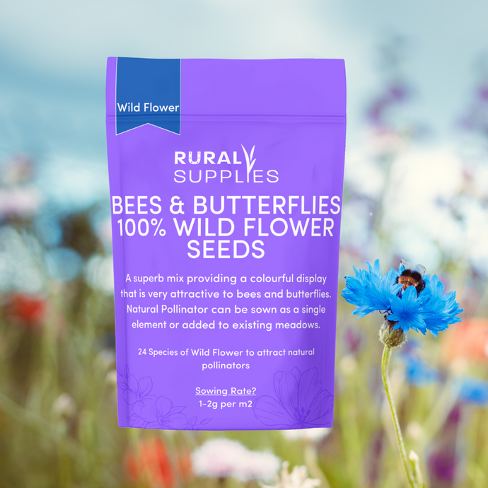 Bees & Butterflies Seed Mix- 100% Wildflowers