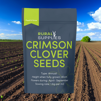 Crimson Clover Seed pouch