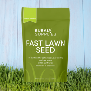 Fast Growing Lawn Seed