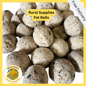 Fat Balls