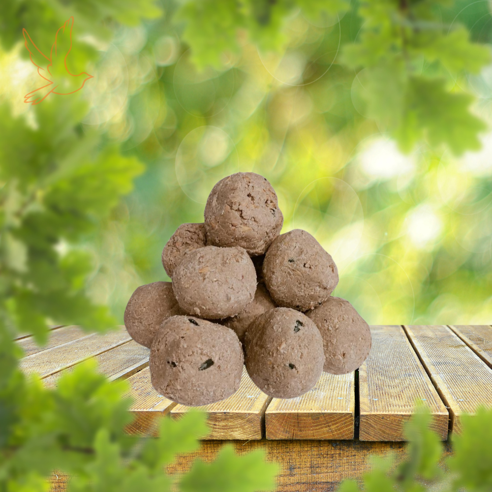 High-Energy Fat Balls for Wild Birds – Premium Bird Food for Year-Round Feeding