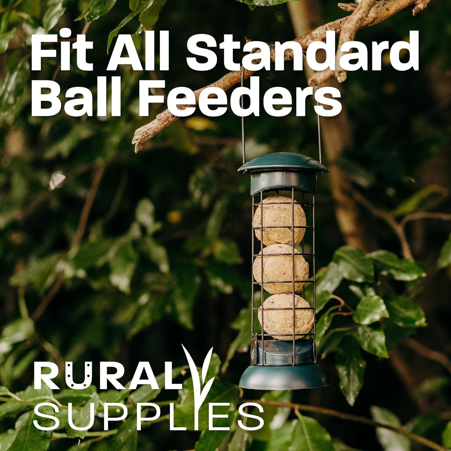 High-Energy Fat Balls for Wild Birds – Premium Bird Food for Year-Round Feeding