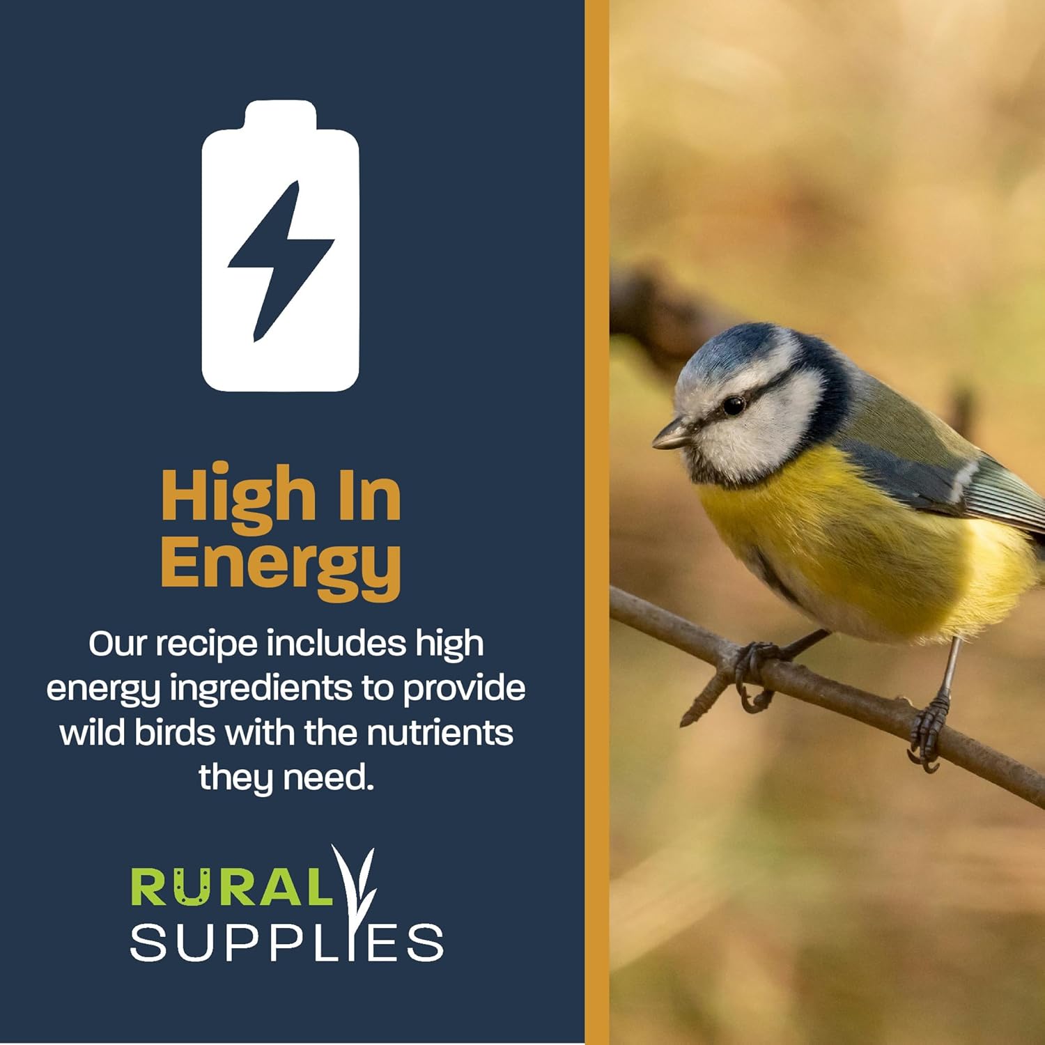 High-Energy Fat Balls for Wild Birds – Premium Bird Food for Year-Round Feeding