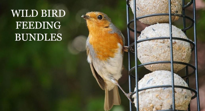 Wild Bird Feeding Bundles