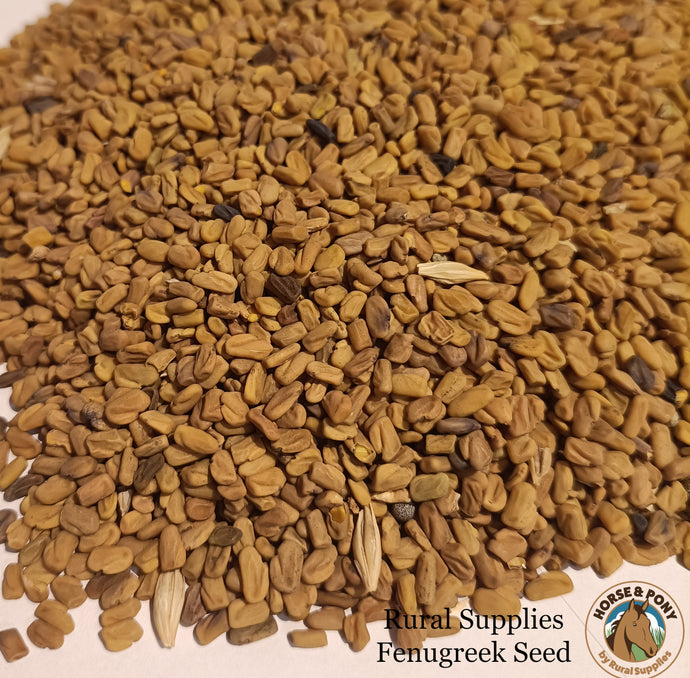 Fenugreek Seeds ¦ Fussy Eaters ¦ Digestive Health ¦ Muscle Function