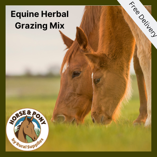 Herbal seed mixture for Horse paddocks