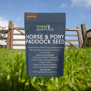 Horse & Pony Paddock Grass Seed