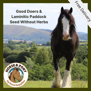 Good Doers & Laminitics Paddock Seed Without Herbs