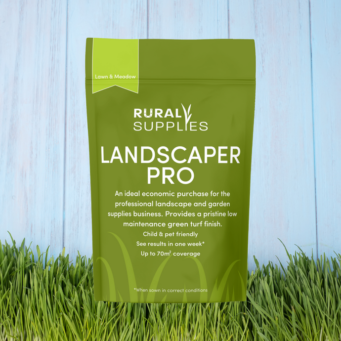 Landscaper Lawn Seed