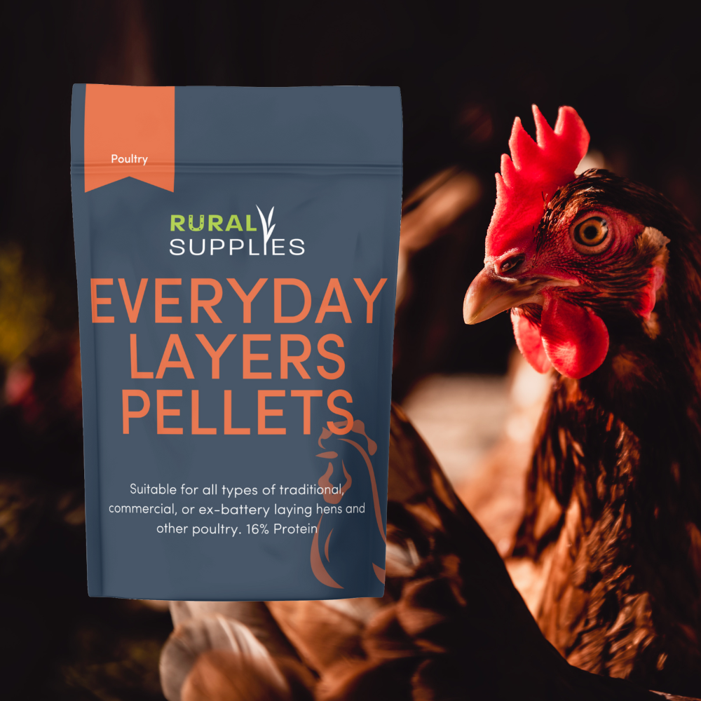 Everyday Layers Pellets