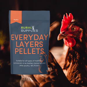 Everyday Layers Pellets