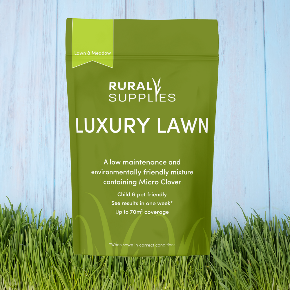 Luxury Micro Clover Lawn Seed  bag