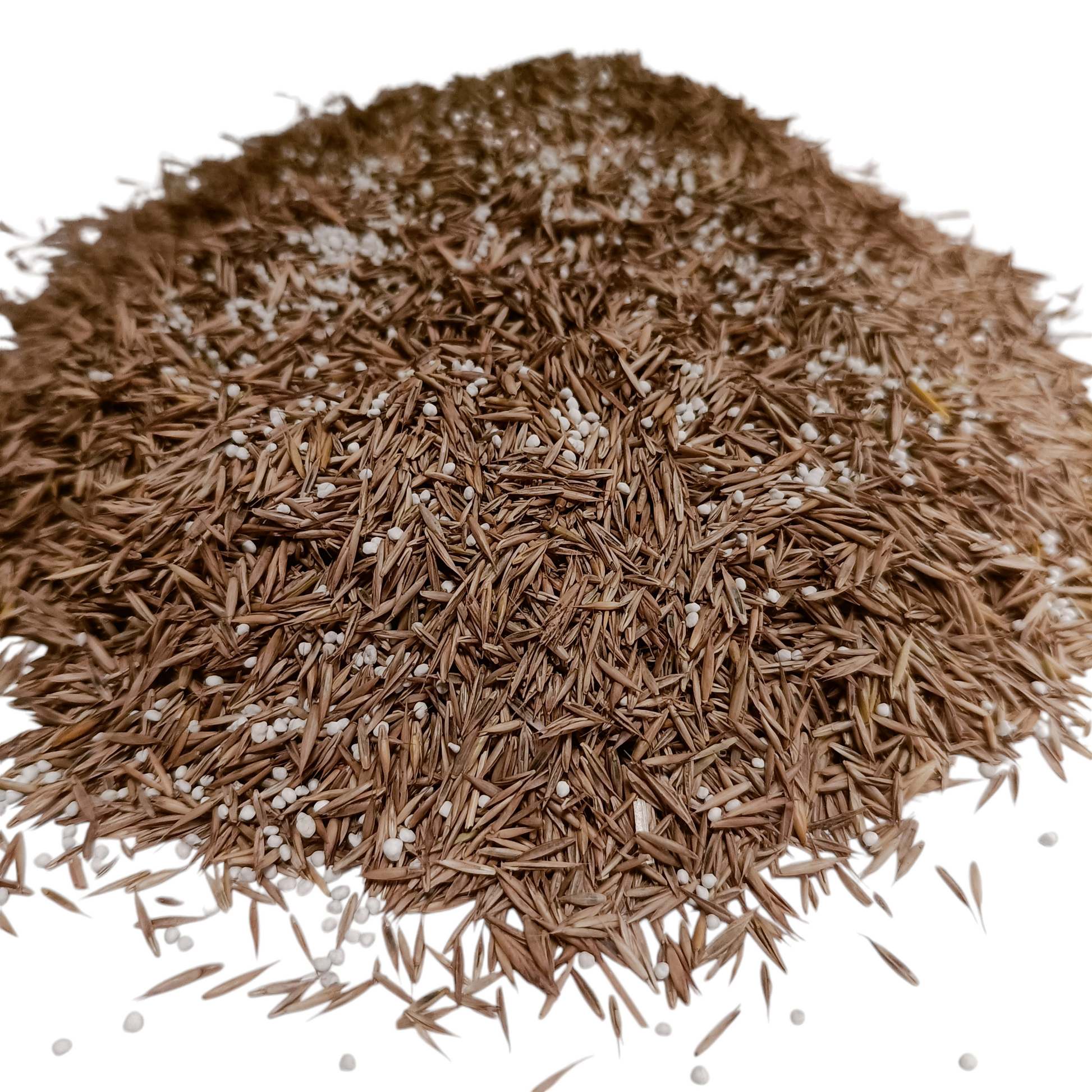 Luxury Micro Clover Lawn Seeds