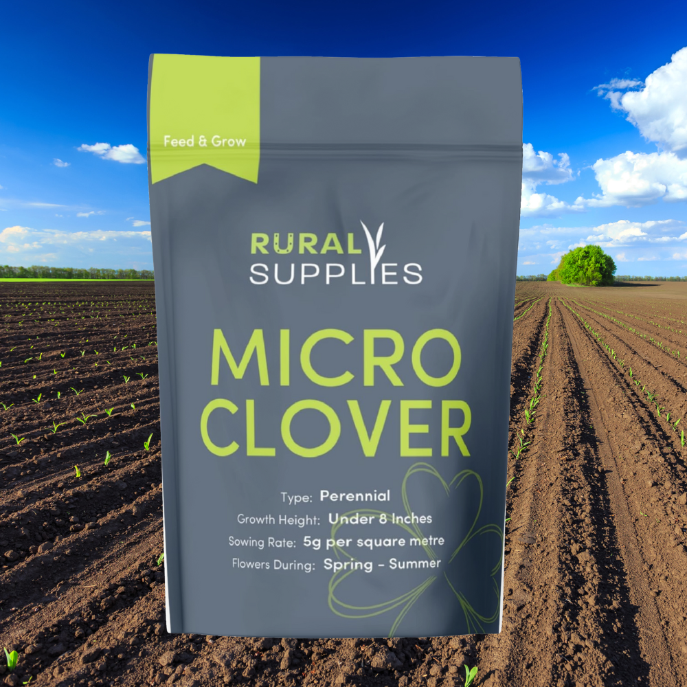 Microclover Roots Micro Clover Seeds | Low-Growing Clover for Lawn & Soil Health – Rural ...