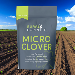 Micro Clover Seed