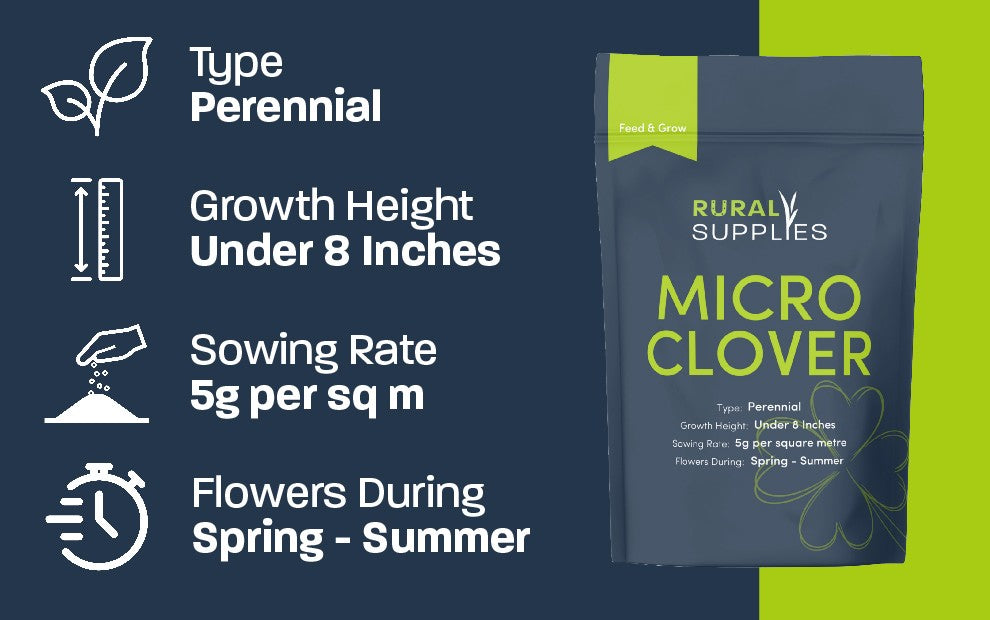 Microclover Roots Micro Clover Seeds | Low-Growing Clover for Lawn & Soil Health – Rural ...