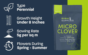 Micro Clover Seed