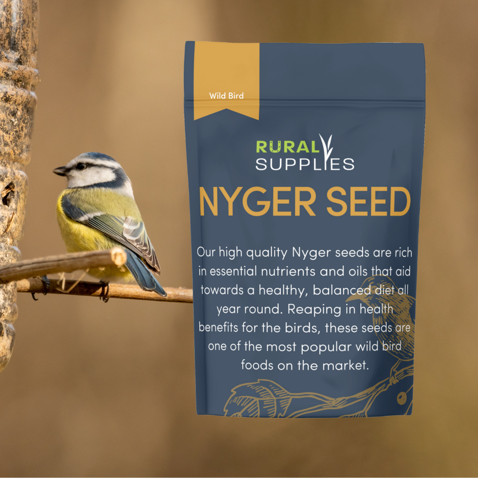 Nyger Seed