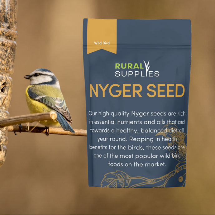 Nyger Seed