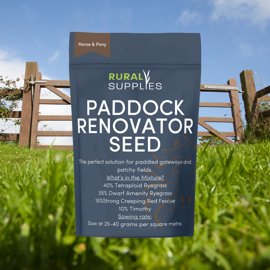 Paddock Renovator Grass Seed