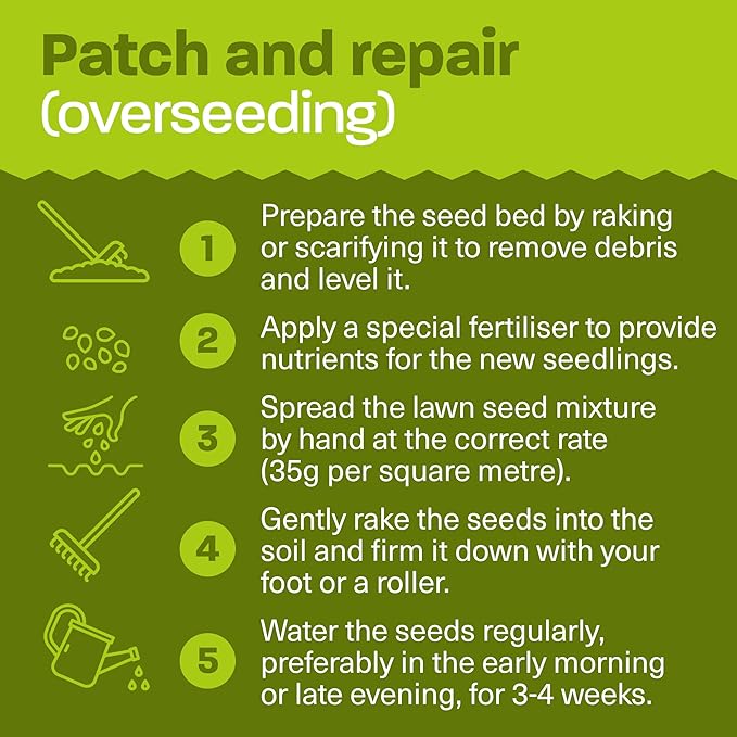 Patch and Repair Advice