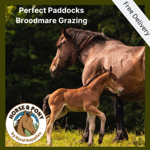 Perfect Paddocks ¦ No Rye or Fescue ¦ Broodmare Grazing