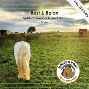 Rest & Relax Paddock Seed ¦ Retired Good Doers ¦ Low Sugar, Starch & Energy