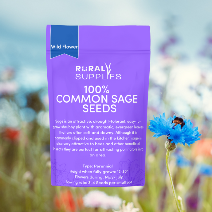 Common Sage