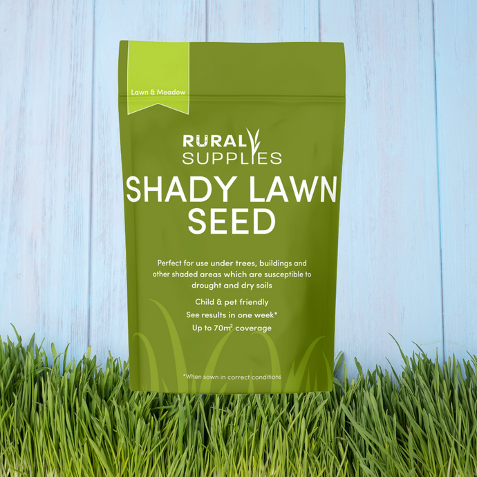 Shady Lawn Seed