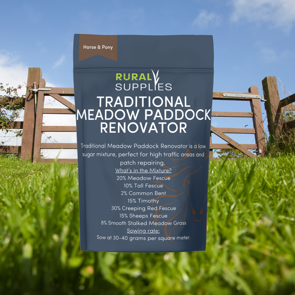 Paddock Meadows Traditional Meadow Paddock Renovator Seed – Rural Supplies