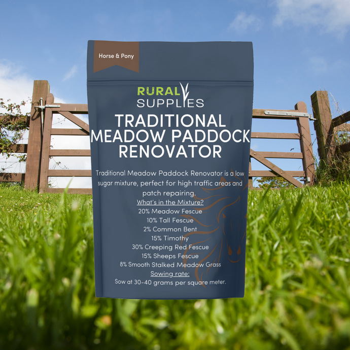 Traditional Meadow Paddock Renovator Seed