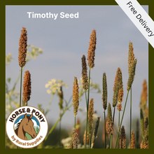 Load image into Gallery viewer, 100% Timothy Grass Seed ¦ Straight
