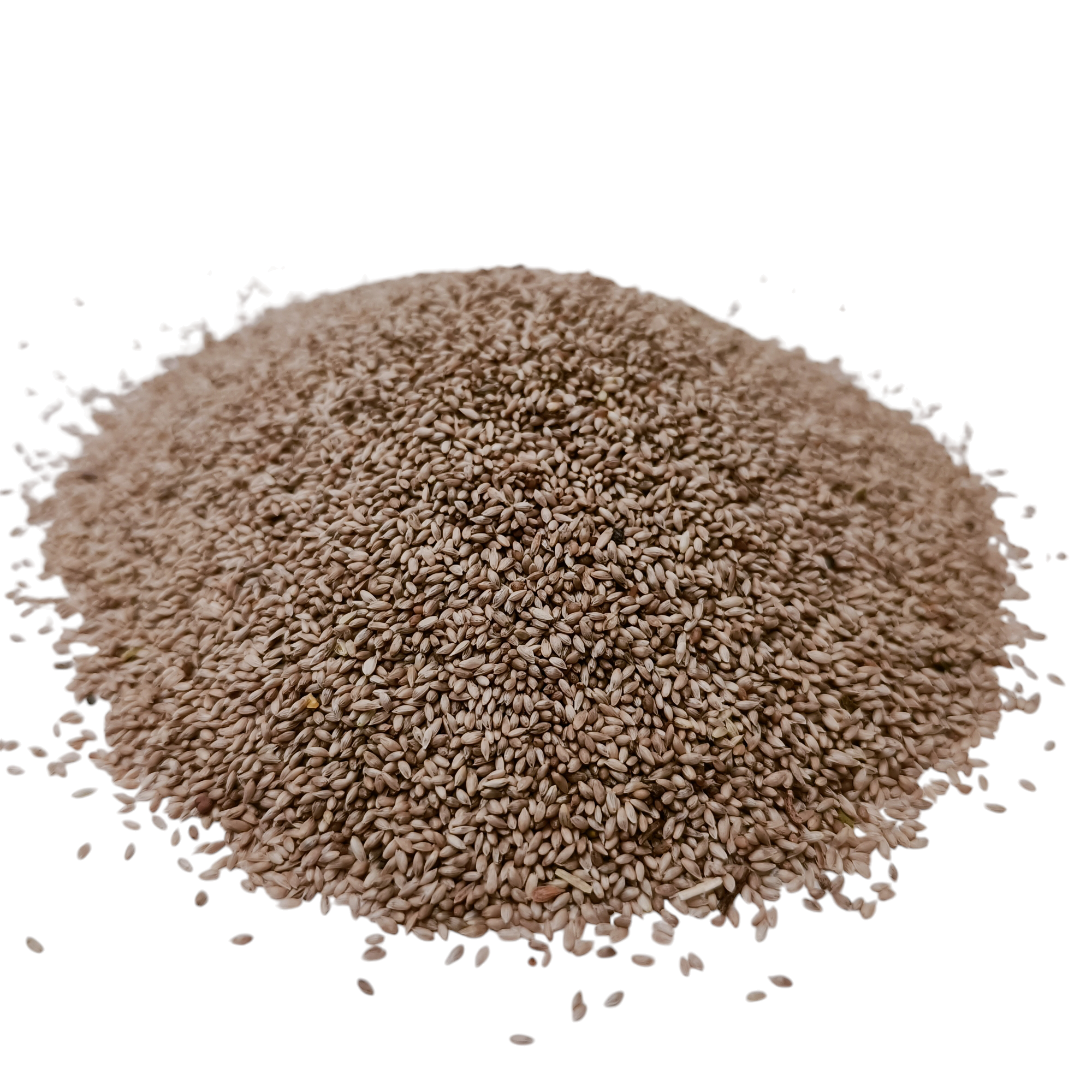 100% Timothy grass seeds