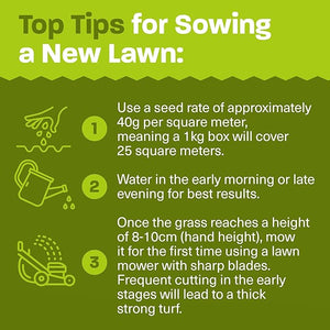 Fast Growing Lawn Seed