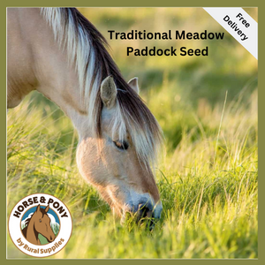 Traditional Meadow Paddock Renovator Seed